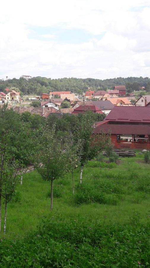 Villa Casa AnaMaria Turda Exterior foto